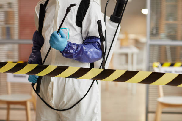Professional Sewage Cleanup technician working in Wrightstown, WI